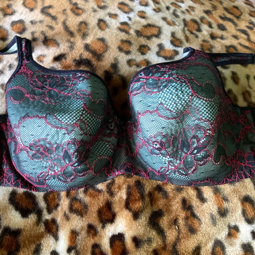 Cacique Green/Blk/Red Underwire Bra Size 42DD